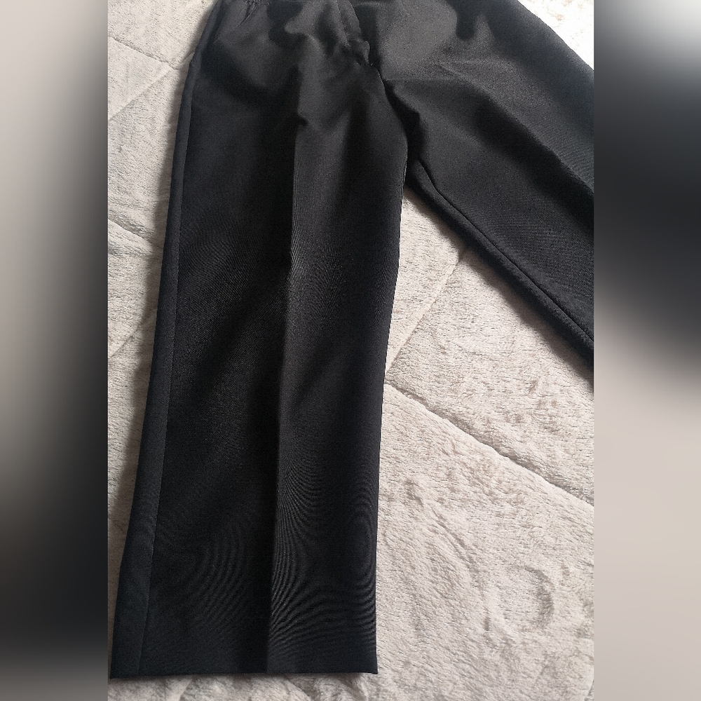 FairSet pants. - Picture 2 of 13